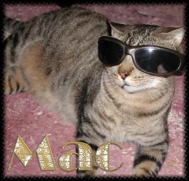 macsunglasses.jpg